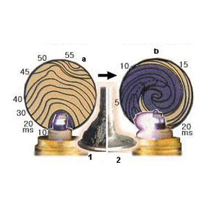 Cyclone 55mm - Berry Smink British Car Parts