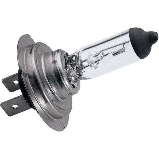 H7 Lamp - Berry Smink British Car Parts