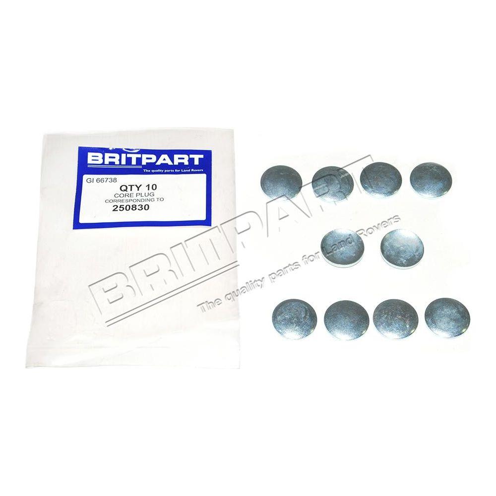 Inlaatspruitstukplug P5 - Berry Smink British Car Parts